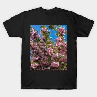 Cherry Blossoms T-Shirt